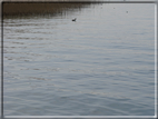 foto Lago di Garda